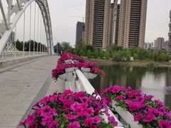 -长白岛森林公园