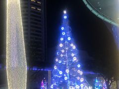 -爱雍·乌节