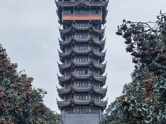 -塔子山公园