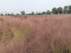 -汉长安城未央宫国家考古遗址公园