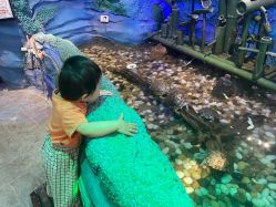 -酷嗒动物文化乐园(cutezoo西溪乐天城店)