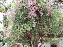 -深圳国际园林花卉博览园