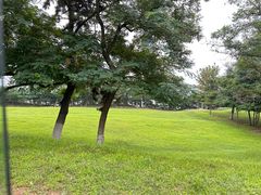 -刘公岛景区