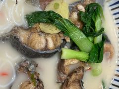 -鲜越鲜鱼粉(财富购物中心店)