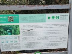 -香桥岩溶国家地质公园