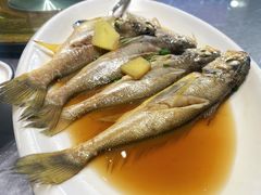 小黄鱼-温岭人家(红花北路店)