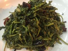 枸杞苗-老毛手抓·盐池滩羊非遗手抓(宁夏总店)