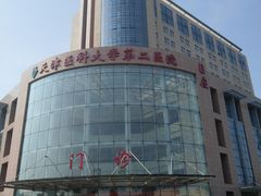 -天津医科大学第二医院
