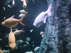 -南昌融创海世界