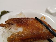 -红城阁·上海味道(四平路店)