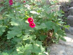 -沕沕水生态风景区