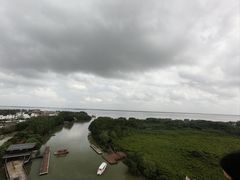 -东寨港红树林旅游区