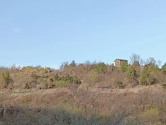 -白水寺森林公园