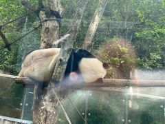 -黔灵山公园