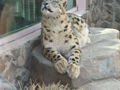 -青藏高原野生动物园