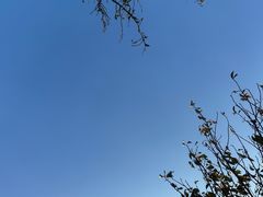 -东钱湖旅游度假区