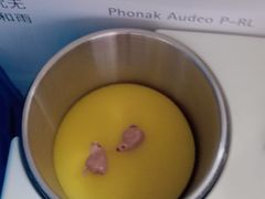 -自然之声助听器·呼吸机(公园路店)