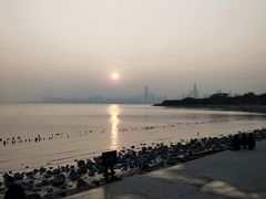 -深圳湾公园(南山区)