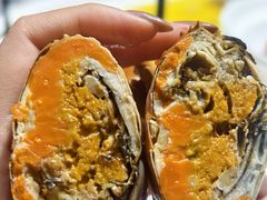 -食悦江南·淮扬菜·烤鸭(亚运村·惠新店)