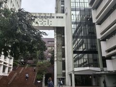 -香港大学