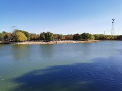 -大兴滨河森林公园