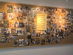 -翊宠yipet猫狗购宠庄园犬舍•猫舍