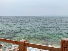 -养马岛旅游度假区