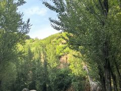 -桑干河大峡谷旅游区