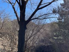 -古崖居风景名胜区