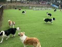-盈香心动乐园