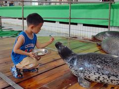 -西霞口神雕山野生动物世界