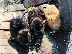 -水上乐园·欢乐世界