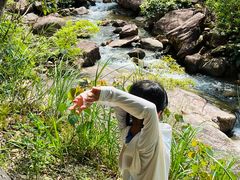 -广州白江湖森林公园