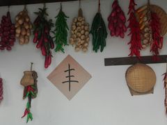 -同里国家湿地公园