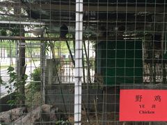 -鸿华度假酒店