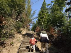 -长沙黑麋峰国家森林公园