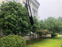 -浙江越秀外国语学院