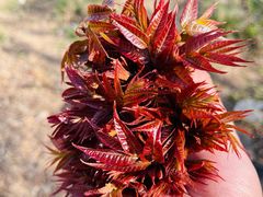 -青州市云门山风景区