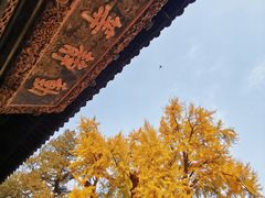-大觉寺-停车场