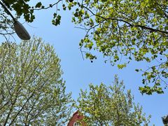 -青岛大学路小学