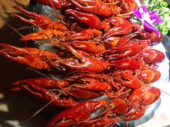 酒糟冰镇小龙虾-红盔甲·小龙虾(天钥桥店)