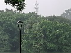 -长洲岛