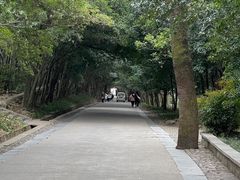 -灵谷景区