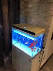 -青青一生美皮肤管理