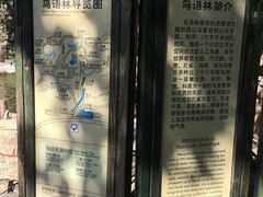 -燕塞湖鸟语林景区