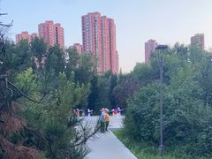 -万泉公园
