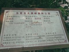-大屏嶂森林公园