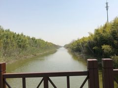 景点-黄海国家森林公园