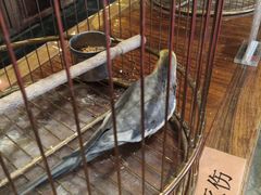 -那家小馆•北京菜•烤鸭(香山店)