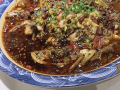 来凤鱼-新概念来凤鱼(璧山店)